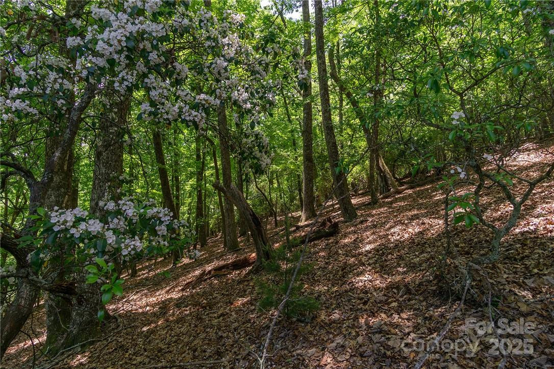 0 Mills River Way #53R - Photo 10