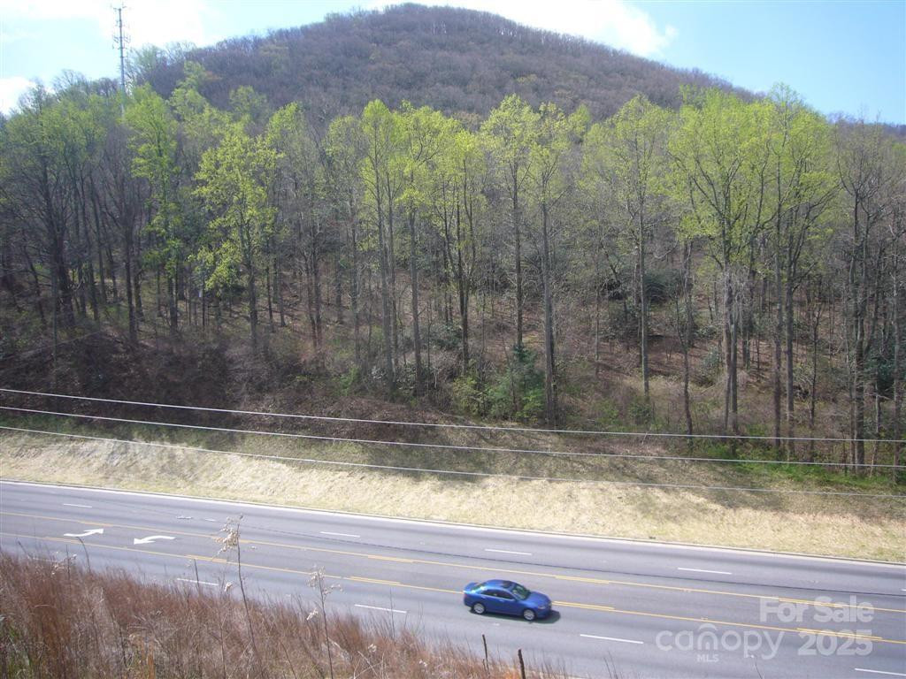 10 acres Charlotte Highway - Photo 4