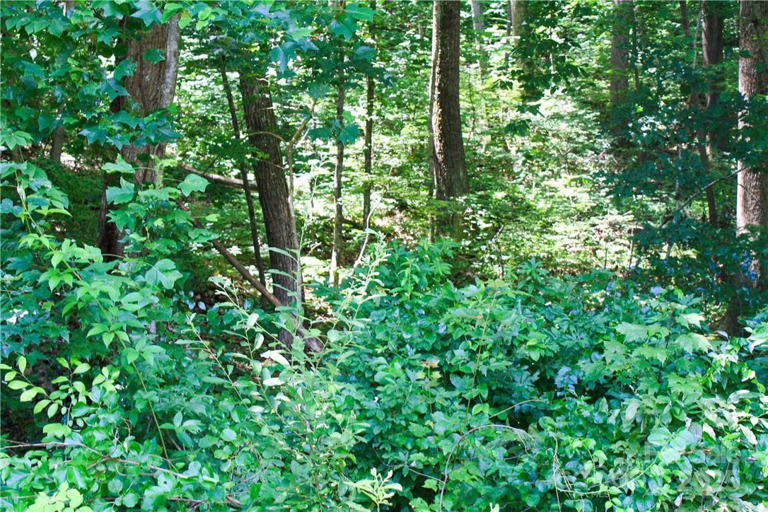 TBD Greenyard Trail #7 - Photo 14