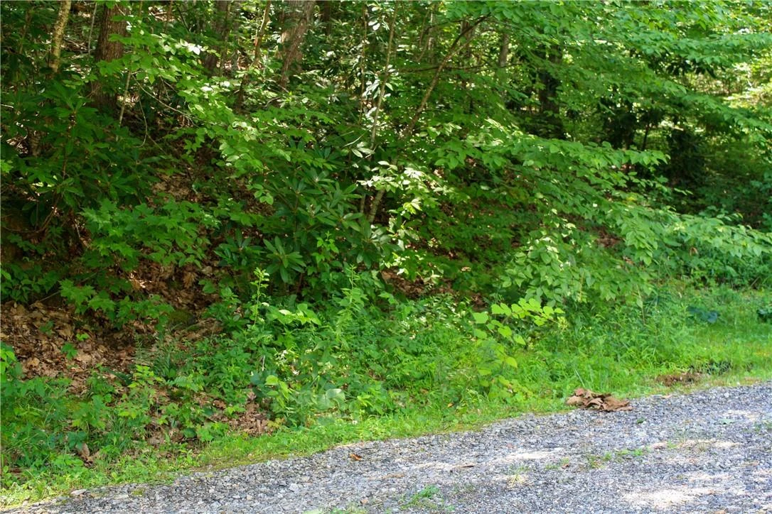 TBD Greenyard Trail #7 - Photo 15