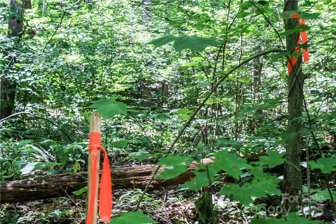 TBD Greenyard Trail #7 - Photo 17