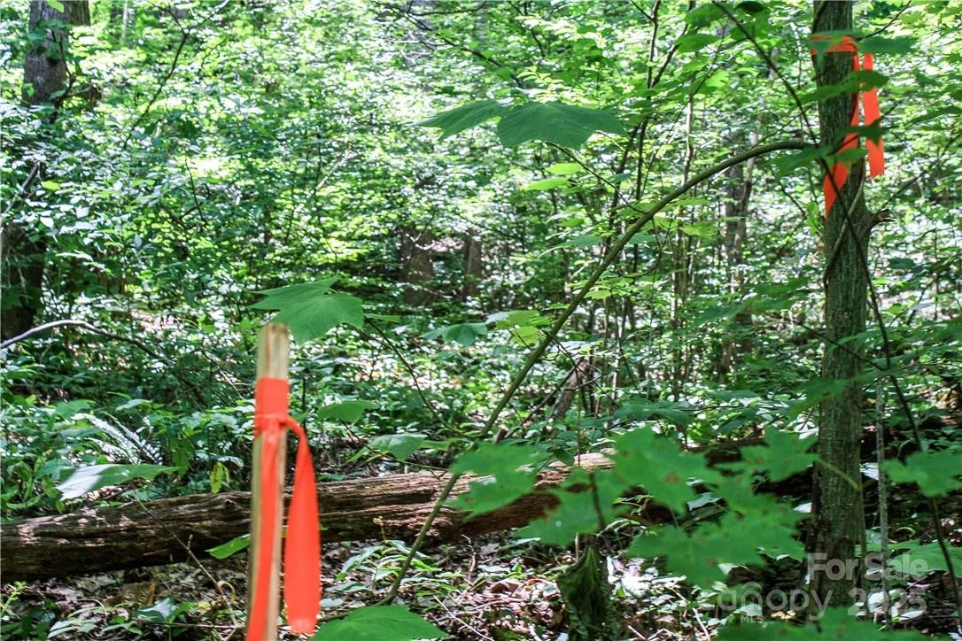 TBD Greenyard Trail #7 - Photo 17