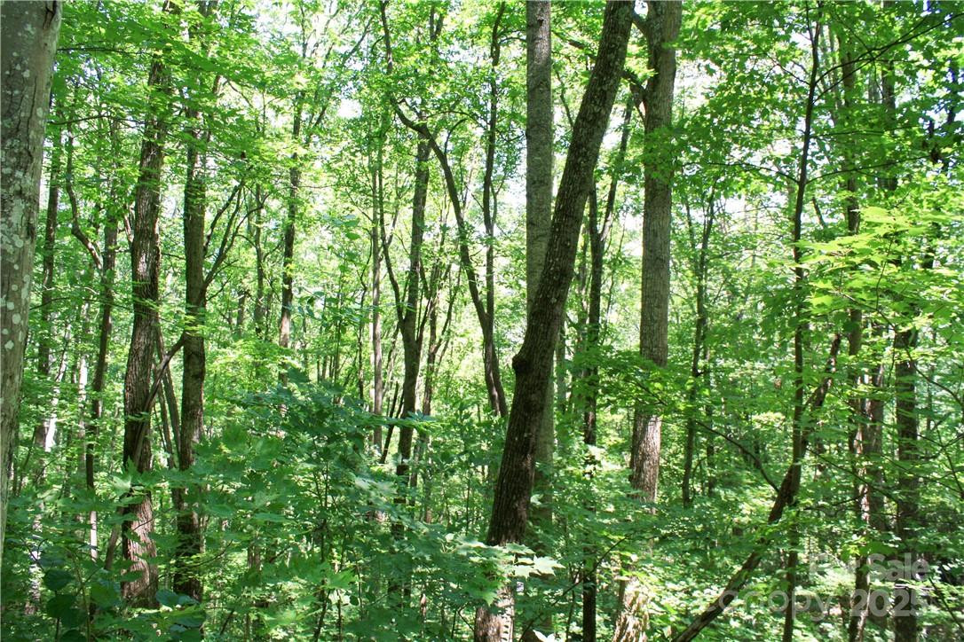 TBD Greenyard Trail #7 - Photo 19