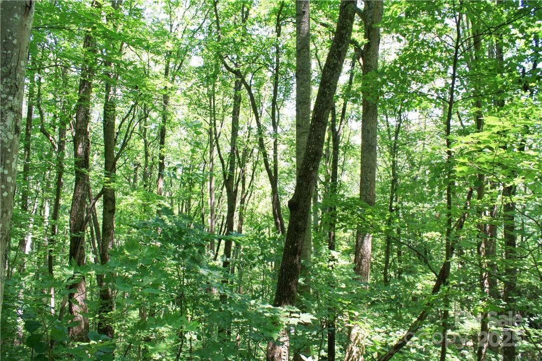 TBD Greenyard Trail #7 - Photo 19