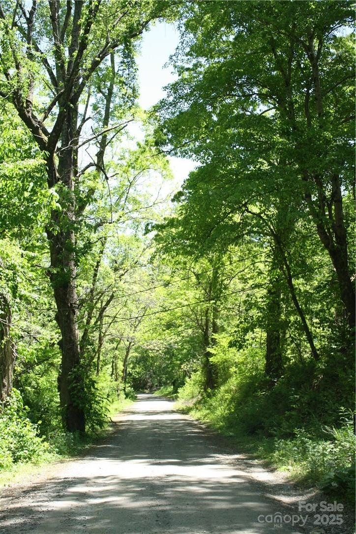 TBD Greenyard Trail #7 - Photo 3