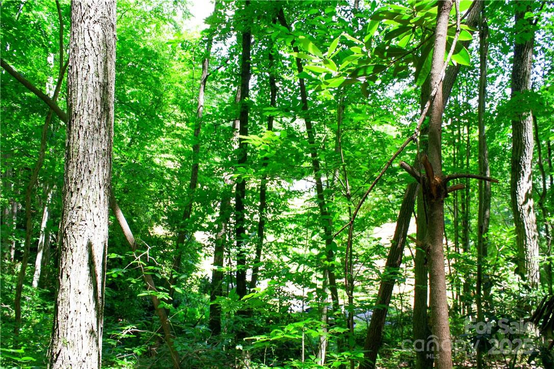 TBD Greenyard Trail #7 - Photo 21