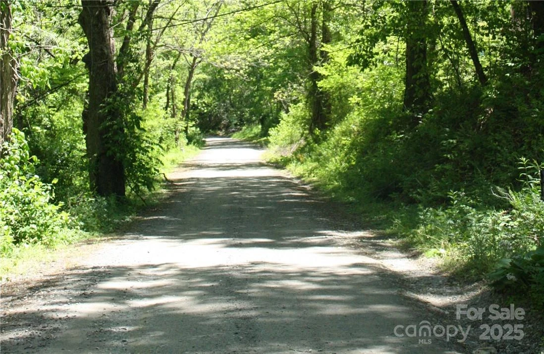 TBD Greenyard Trail #2