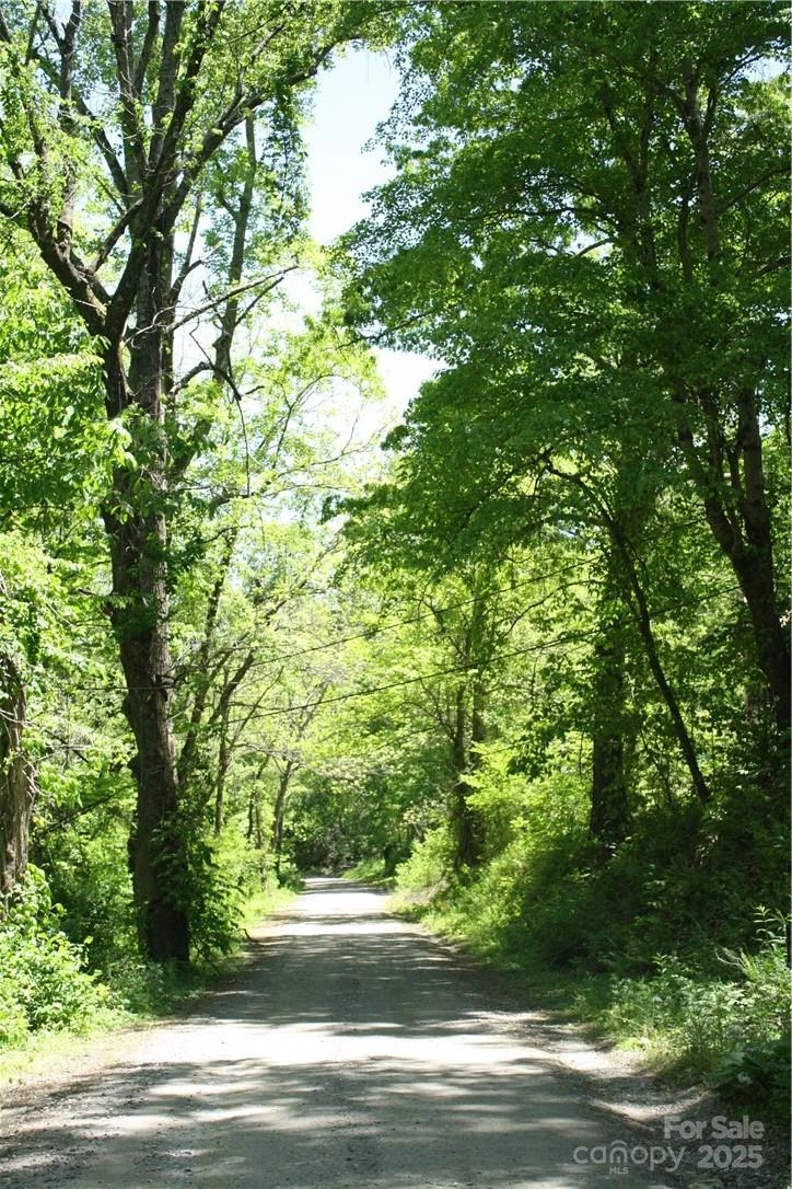 TBD Greenyard Trail #2 - Photo 2