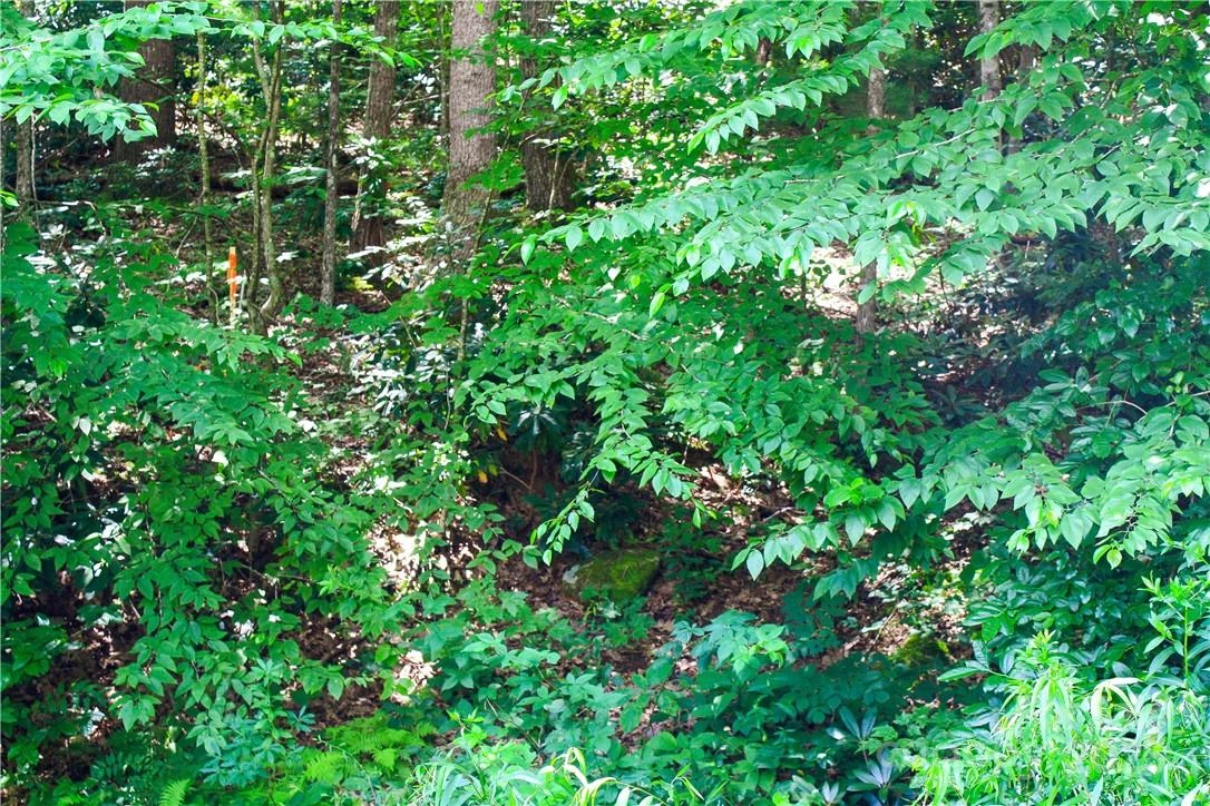 TBD Greenyard Trail #2 - Photo 12
