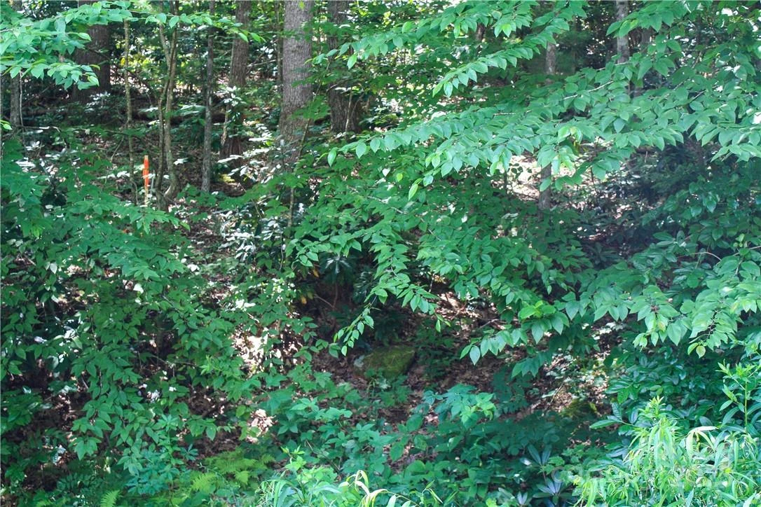 TBD Greenyard Trail #2 - Photo 13