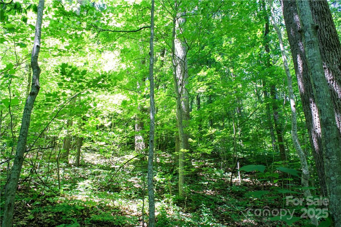TBD Greenyard Trail #2 - Photo 20