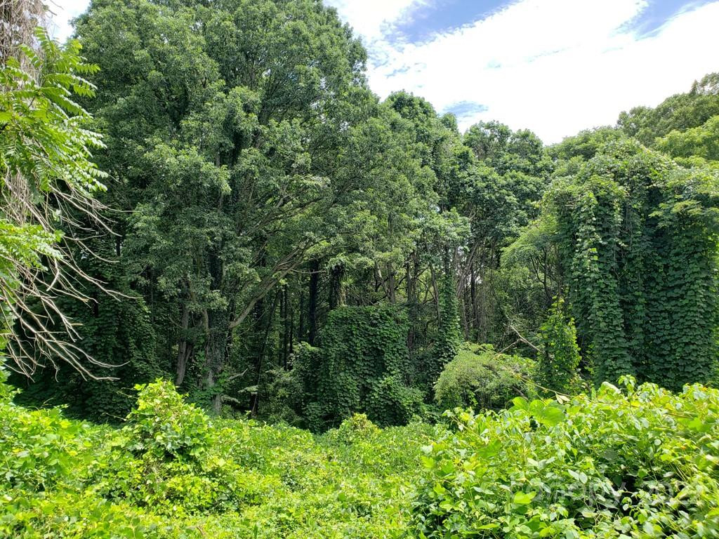 548 Caribou Road - Photo 4