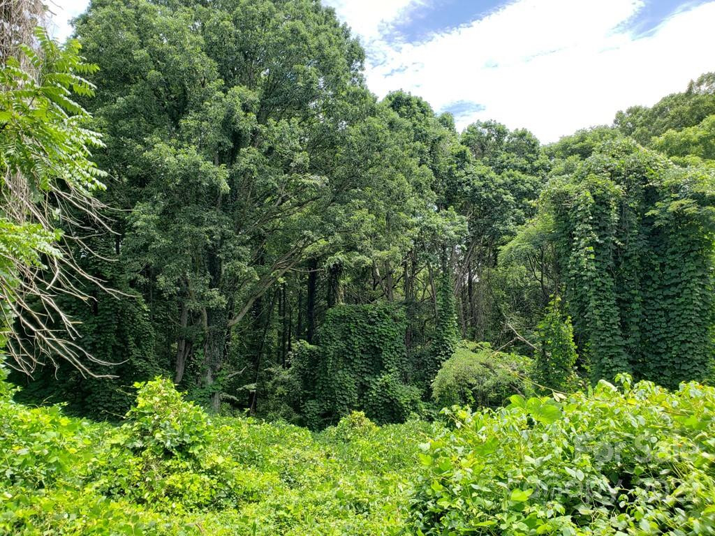 548 Caribou Road - Photo 4