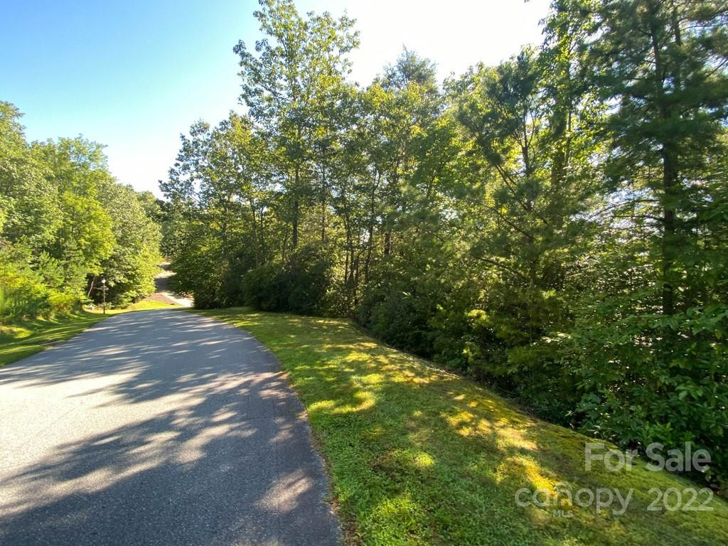 TBD Pine Mountain Trail - Photo 11