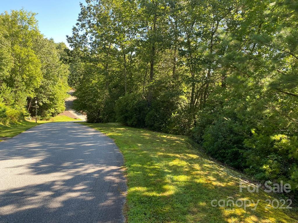 TBD Pine Mountain Trail - Photo 12