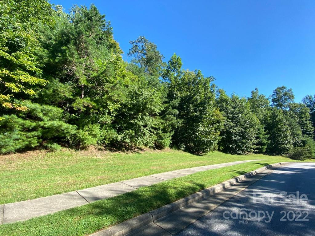 TBD Pine Mountain Trail - Photo 13