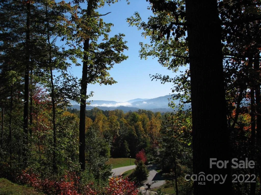 TBD Pine Mountain Trail - Photo 3
