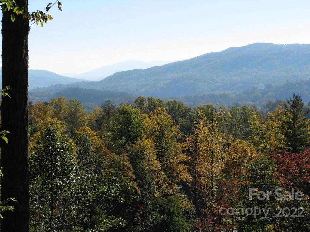 TBD Pine Mountain Trail - Photo 4
