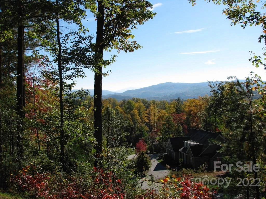TBD Pine Mountain Trail - Photo 5