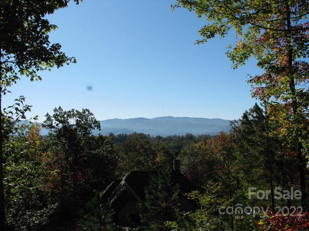 TBD Pine Mountain Trail - Photo 6