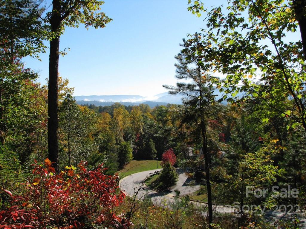 TBD Pine Mountain Trail - Photo 7