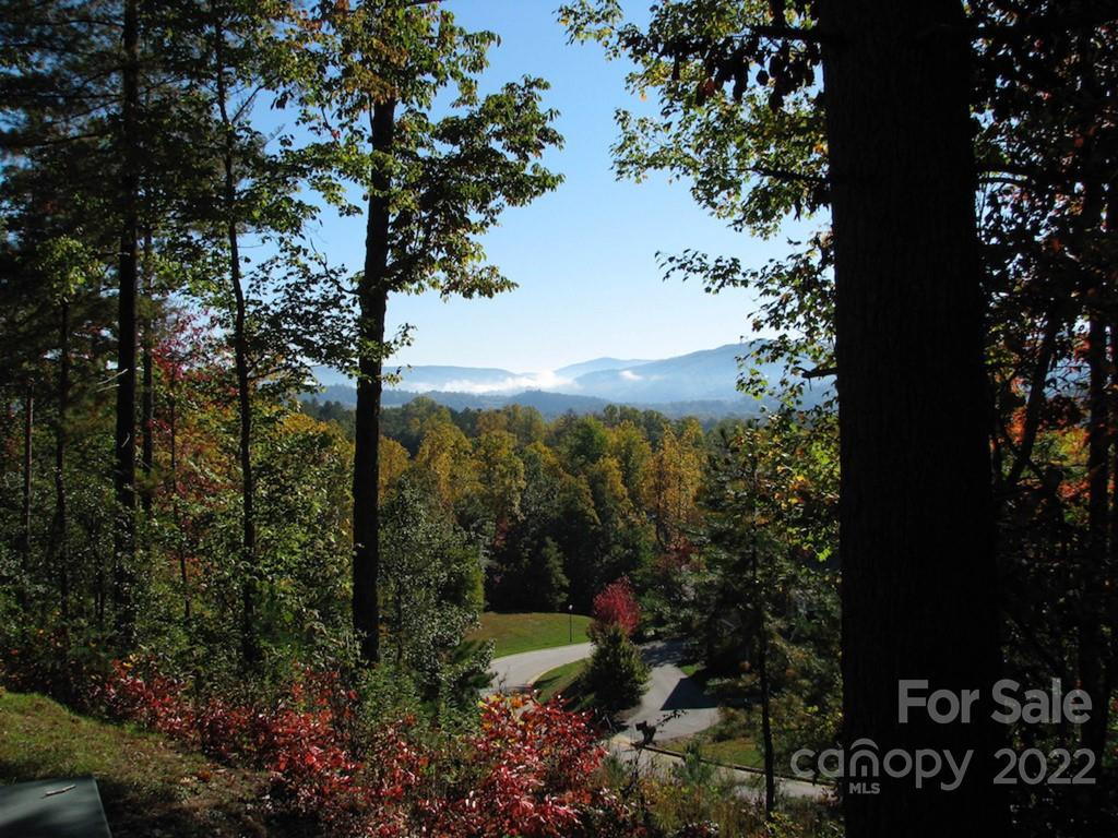 TBD Pine Mountain Trail - Photo 9