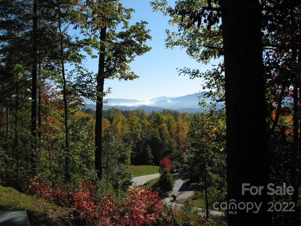 TBD Pine Mountain Trail - Photo 9