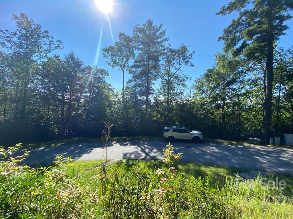 TBD Pine Mountain Trail - Photo 10