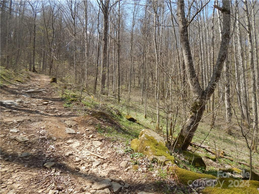 00 Gentry Farm Road - Photo 2