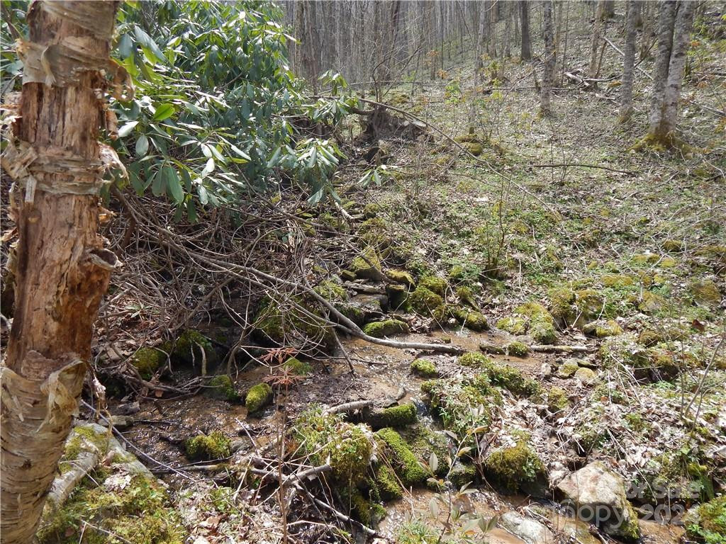 00 Gentry Farm Road - Photo 12