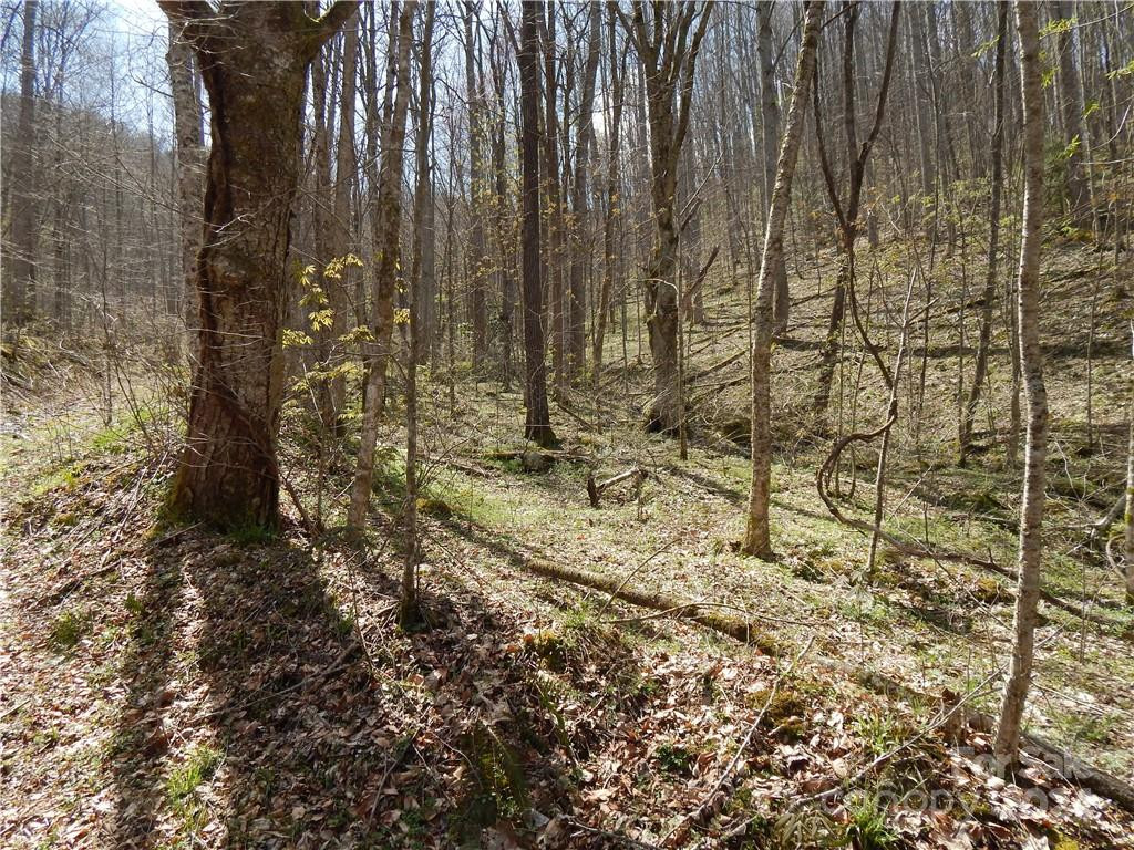 00 Gentry Farm Road - Photo 13