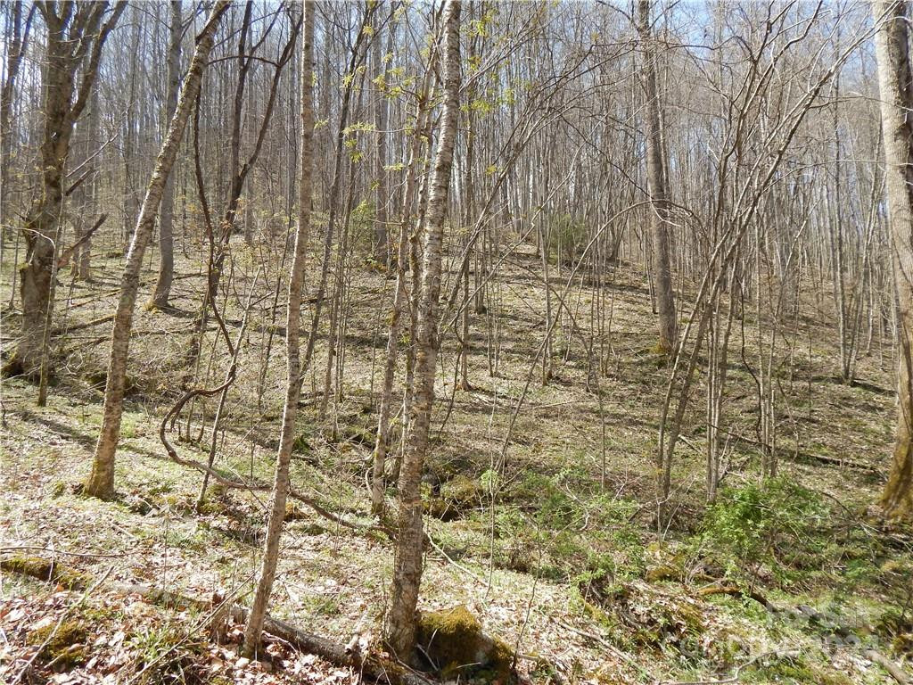 00 Gentry Farm Road - Photo 14