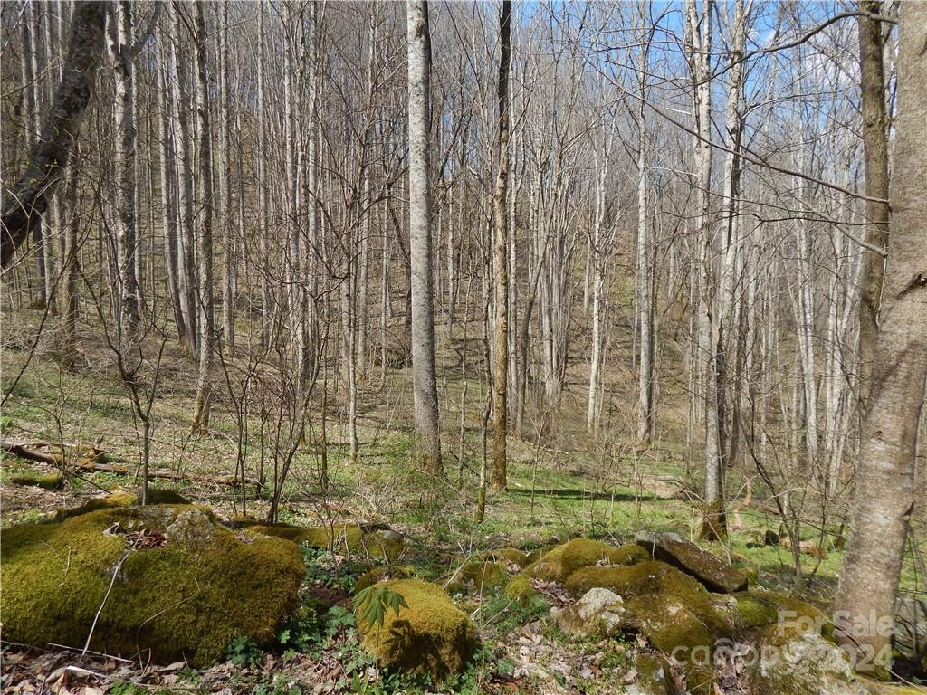 00 Gentry Farm Road - Photo 15