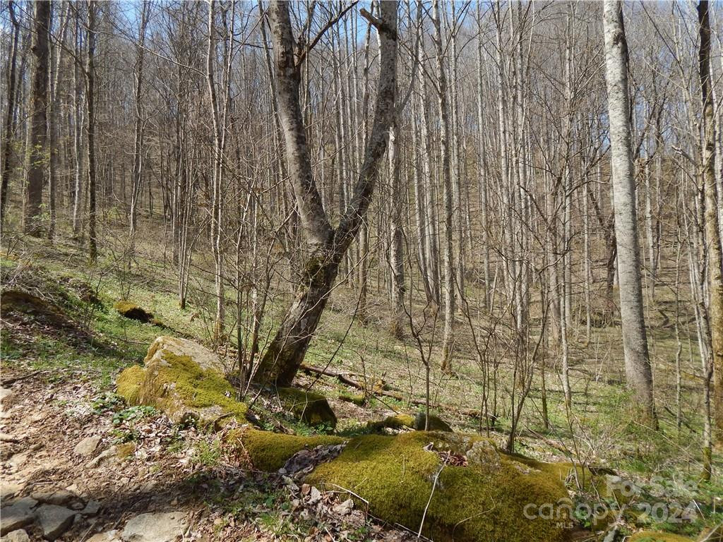 00 Gentry Farm Road - Photo 16