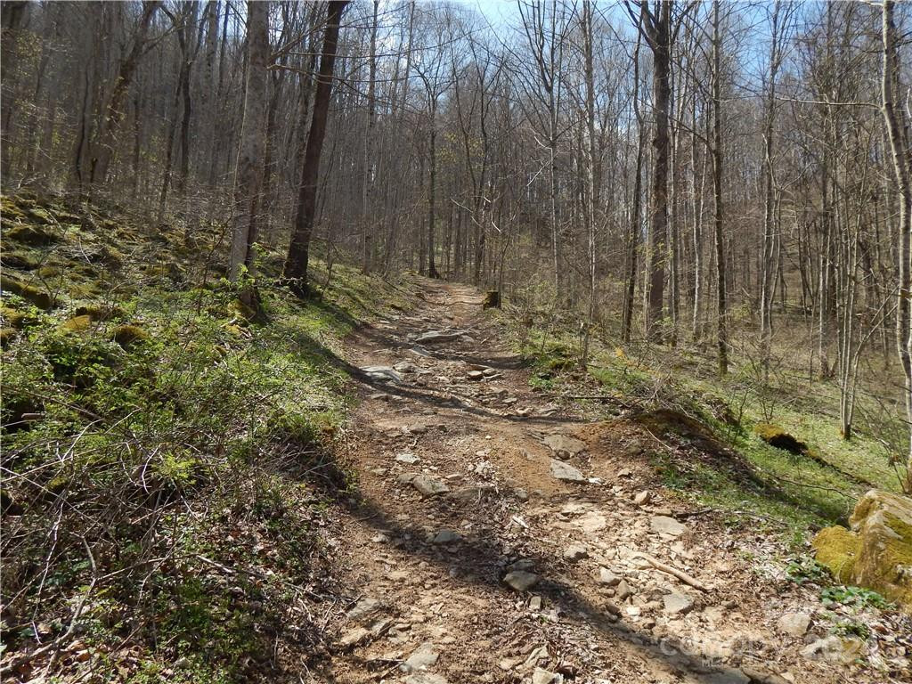 00 Gentry Farm Road - Photo 17