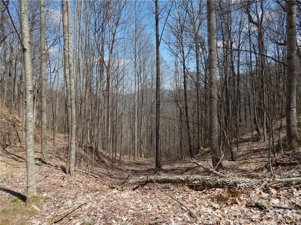 00 Gentry Farm Road - Photo 18