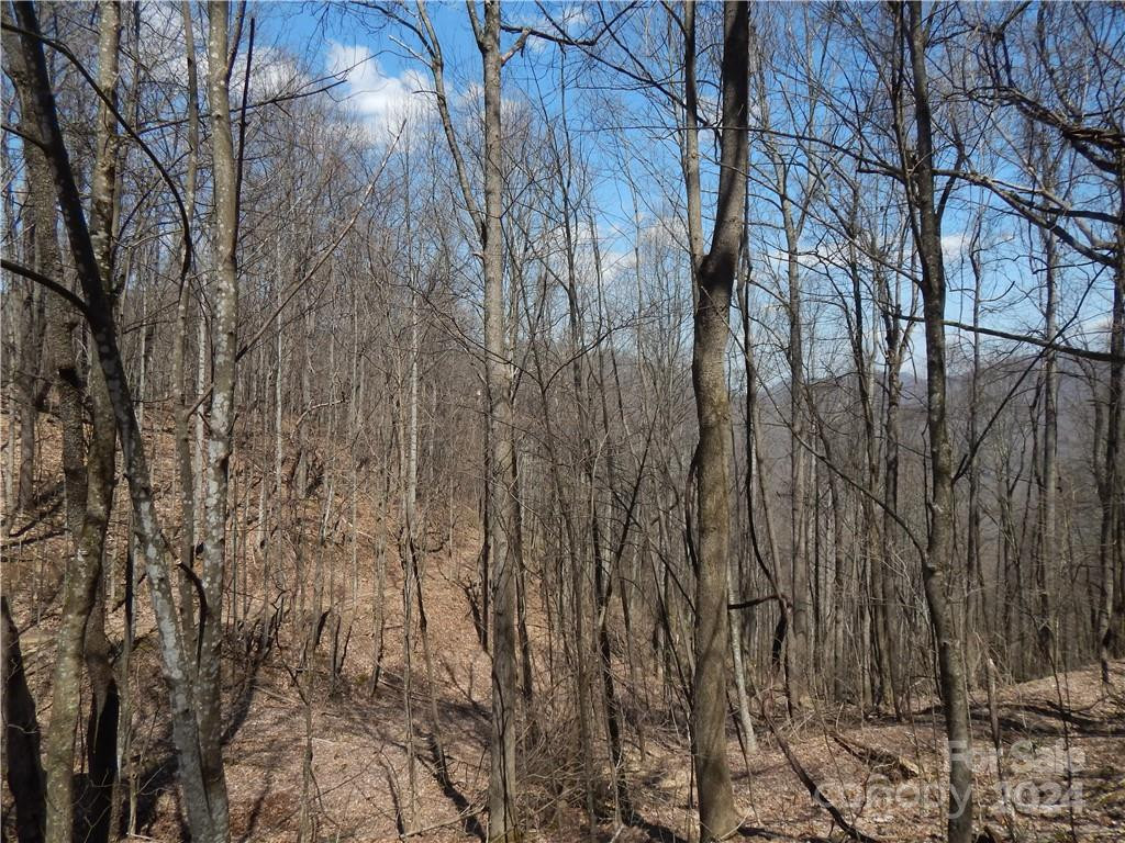 00 Gentry Farm Road - Photo 19
