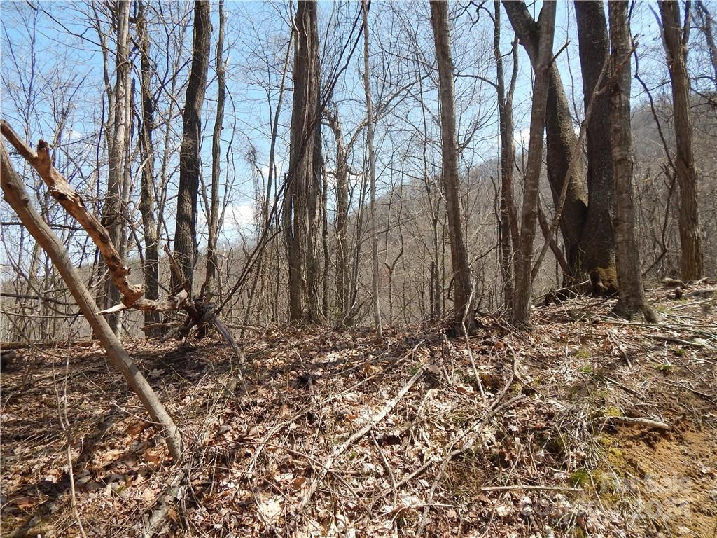 00 Gentry Farm Road - Photo 20