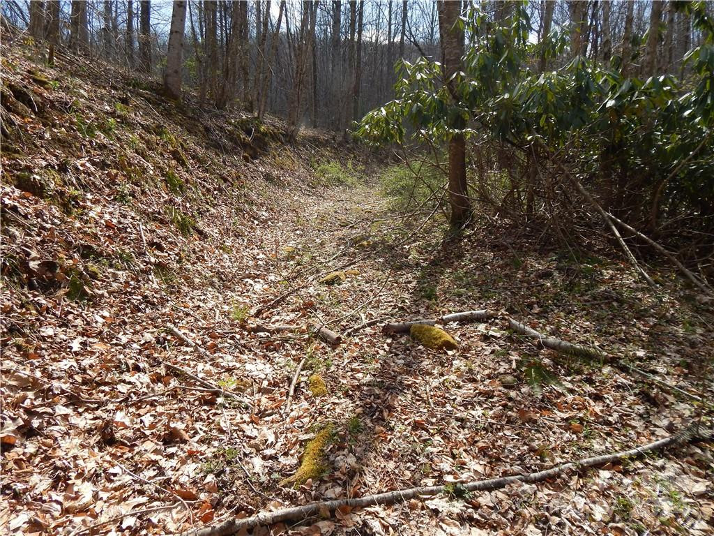 00 Gentry Farm Road - Photo 3