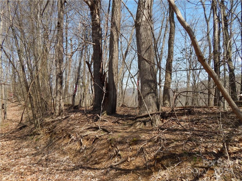 00 Gentry Farm Road - Photo 21