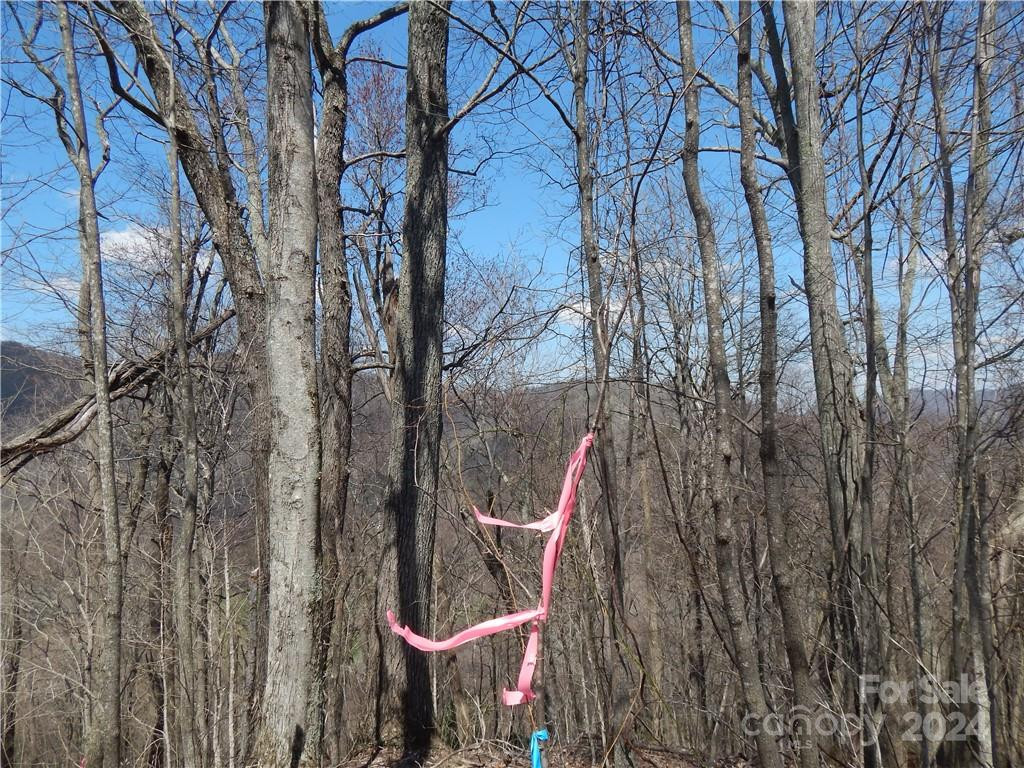 00 Gentry Farm Road - Photo 23