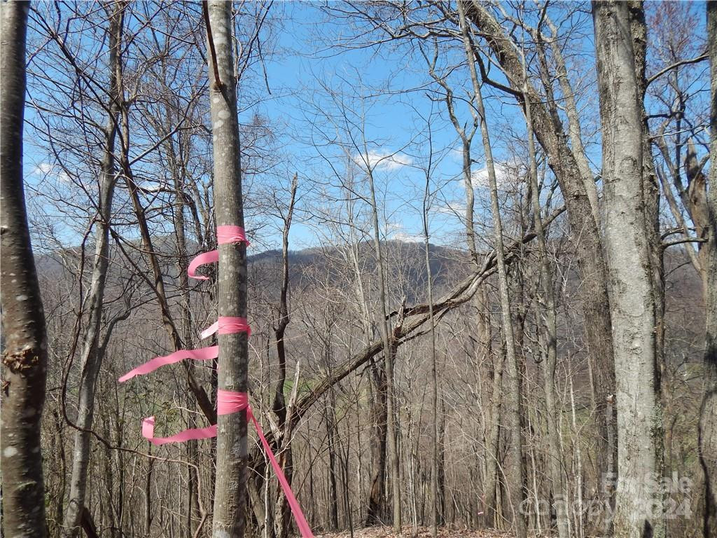 00 Gentry Farm Road - Photo 24