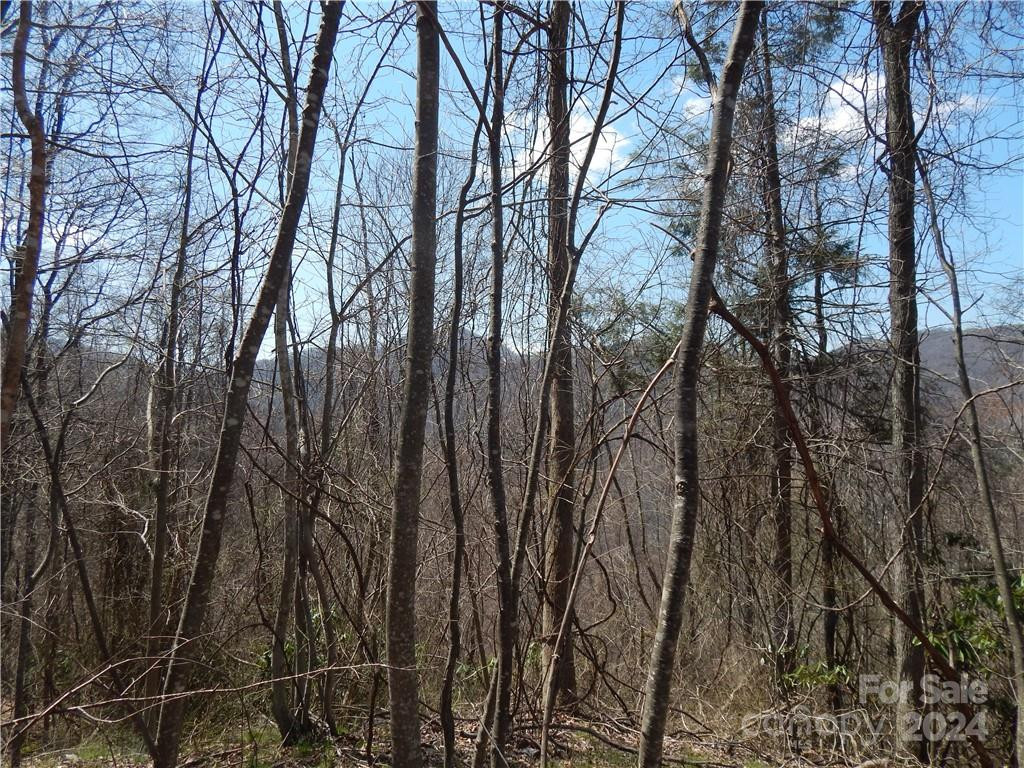 00 Gentry Farm Road - Photo 25