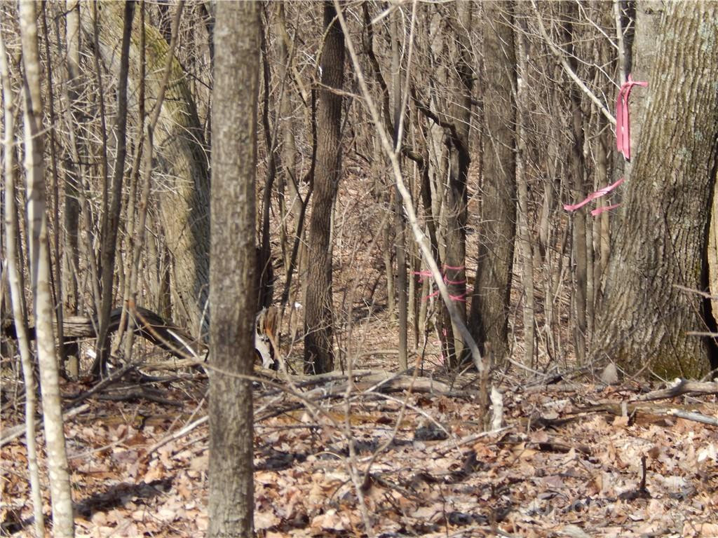 00 Gentry Farm Road - Photo 26