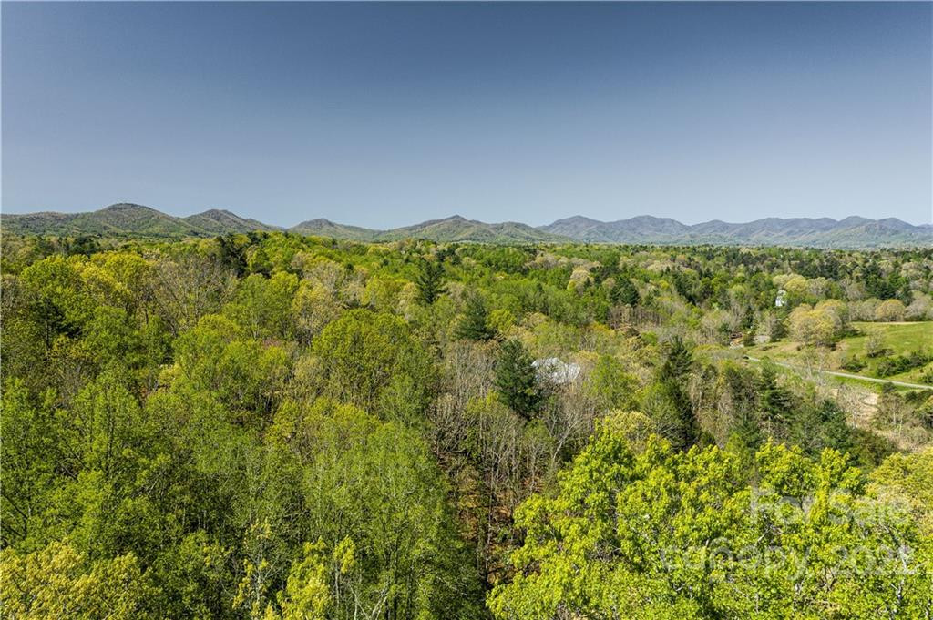 238 Westridge Farm Road #18 - Photo 14