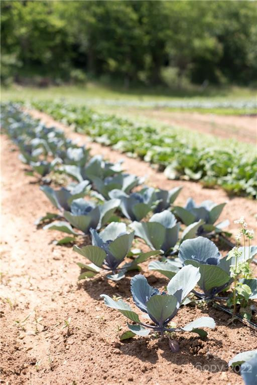 238 Westridge Farm Road #18 - Photo 10