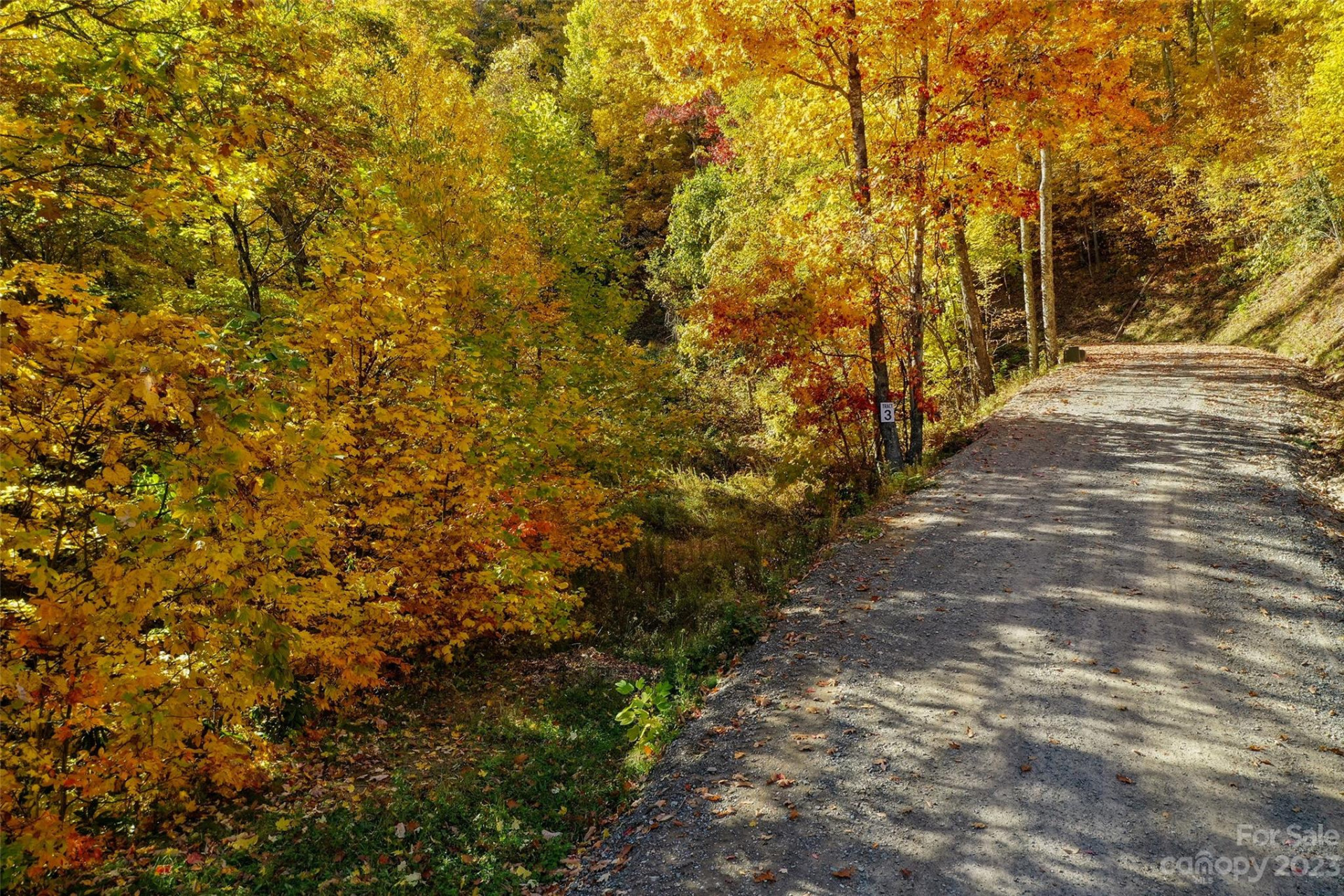 Tract 3 Sigogglin Trail - Photo 11