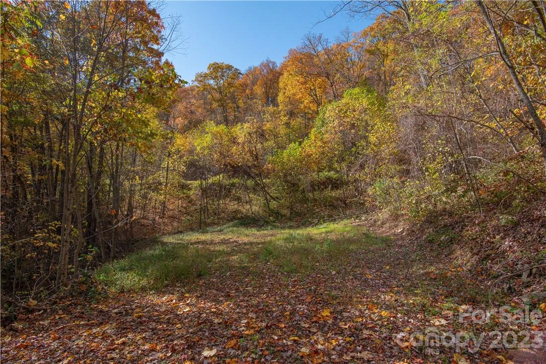 Tract 3 Sigogglin Trail - Photo 4