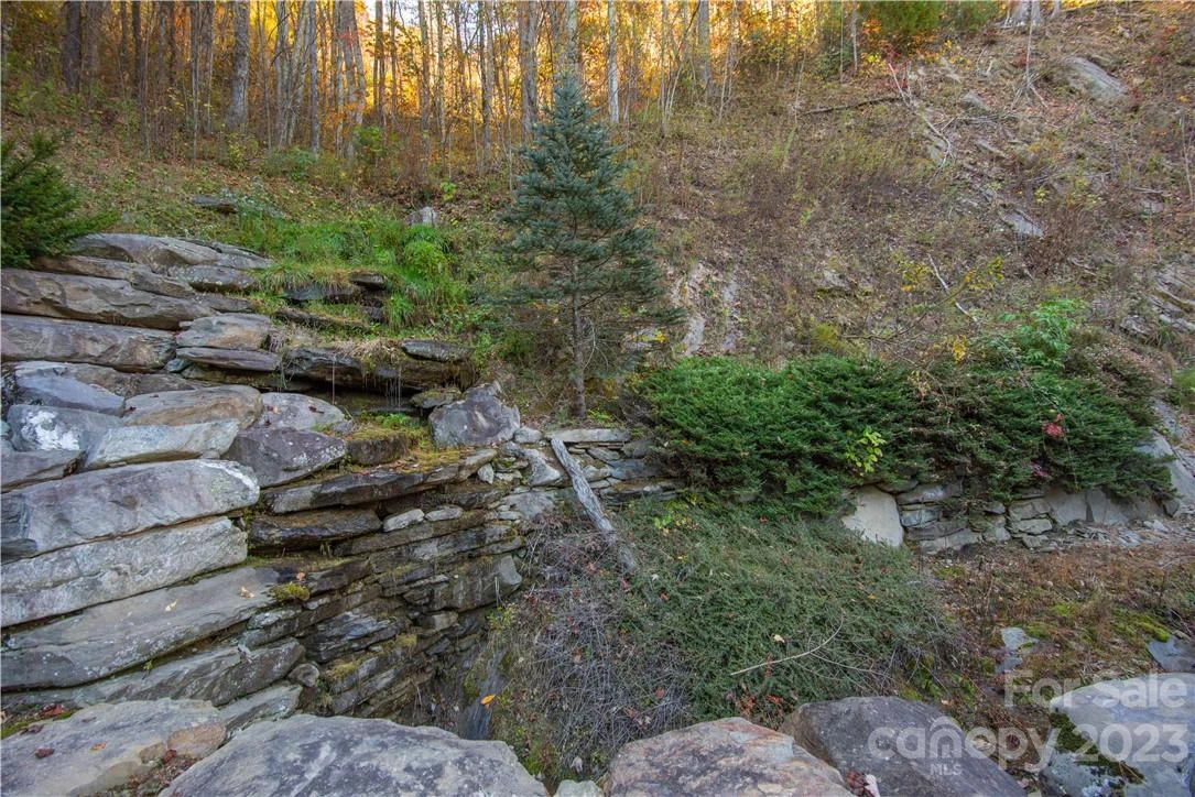 Tract 3 Sigogglin Trail - Photo 8