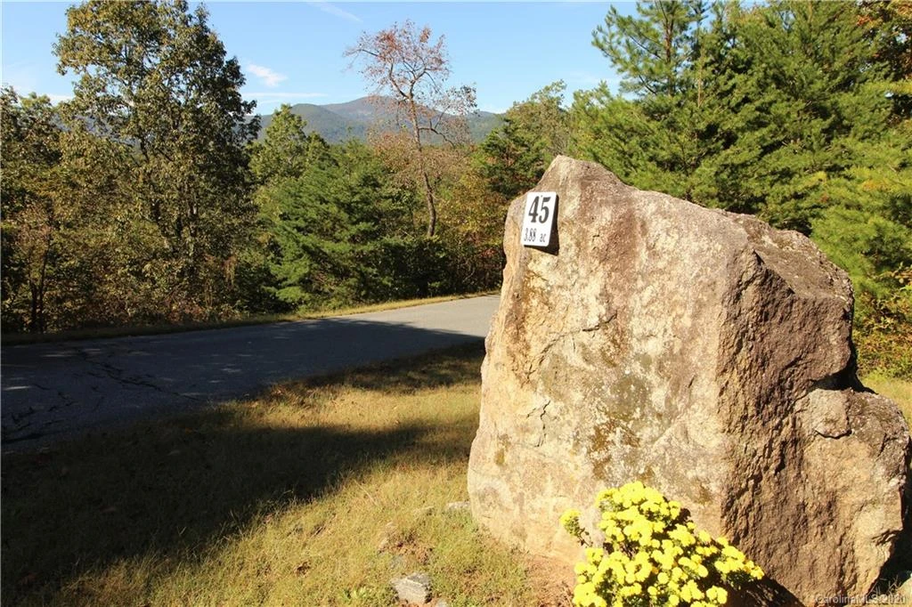 0 Boulder Ridge #45 - Photo 2